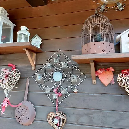 Teddybaer Ski-to-door Апартаменты